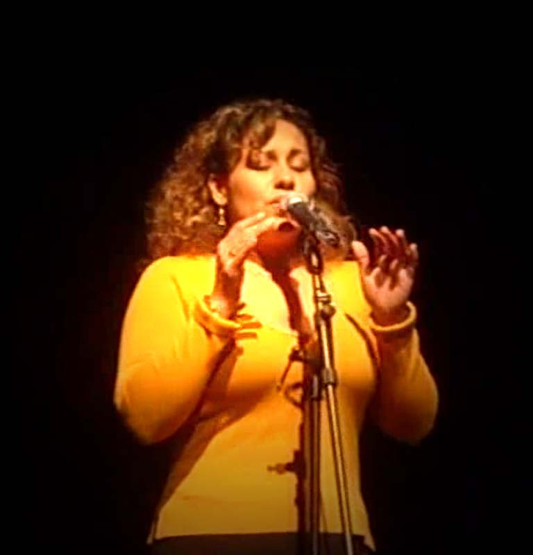 Elizabeth Benitez Los pajaros perdidos